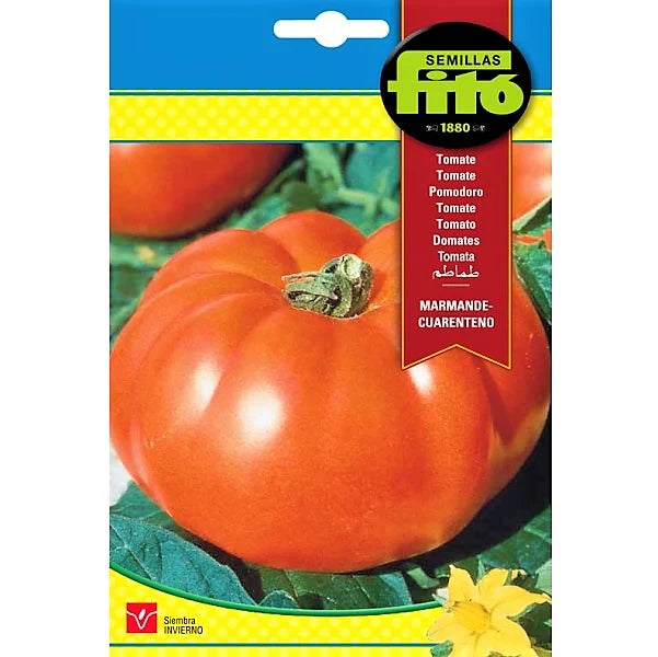 Tomato Marmande Cuarenteno Seeds