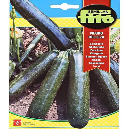 Summer Squash Negro Belleza 10g, Fito