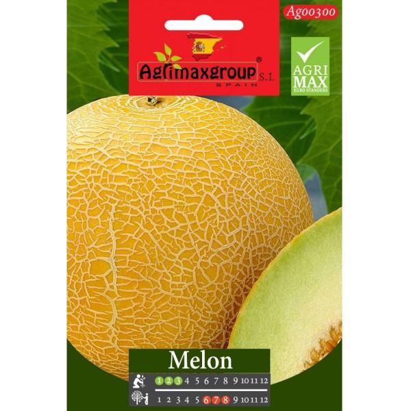 Melon Seeds