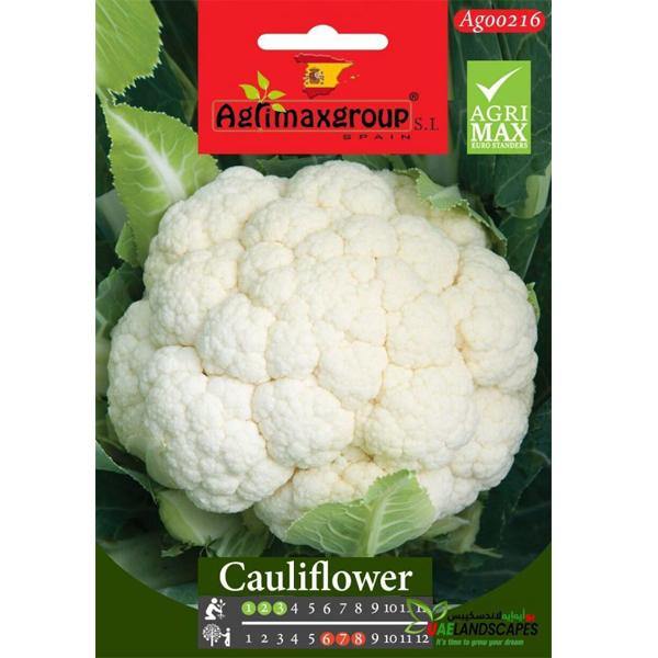 Cauliflower Seeds