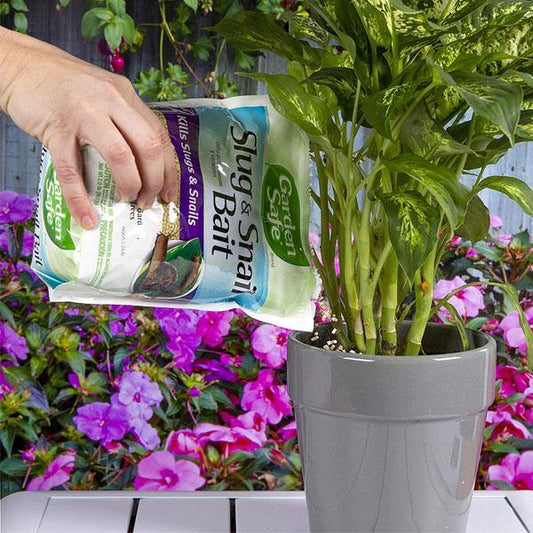 Garden Safe Slug, Snail Bait