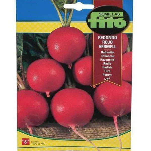 Radish Redondo Rojo Vermell Seeds