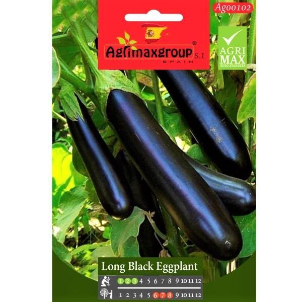 Long Black Eggplant Seeds