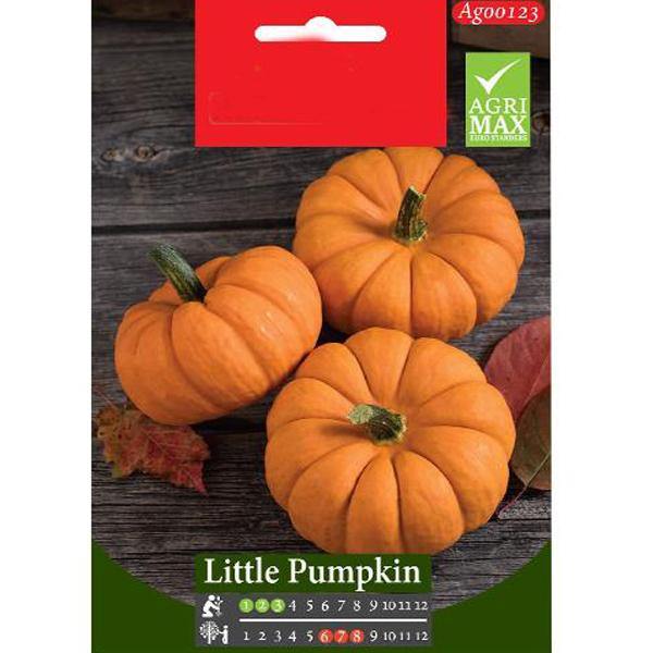 Little Pumpkin Seeds