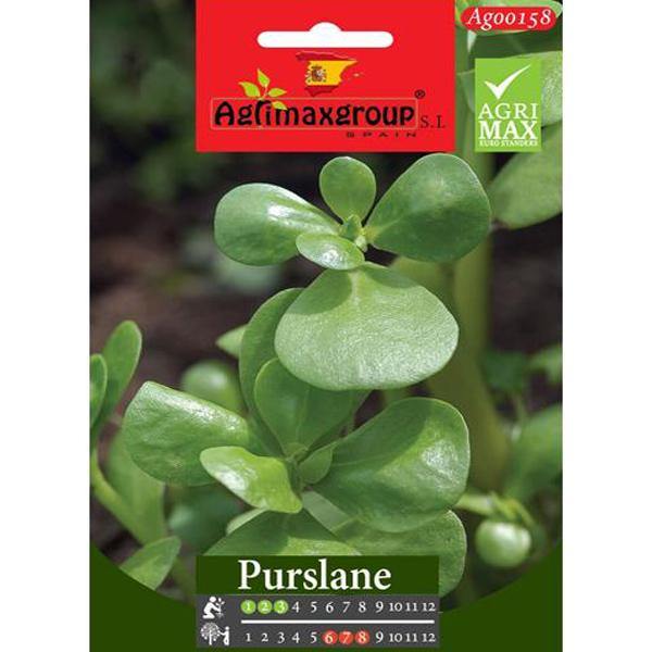 Purslane Seeds
