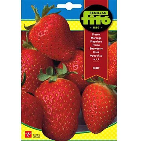 Ruby Strawberry Seeds Seeds