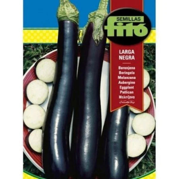 Eggplant Larga Negra Seeds
