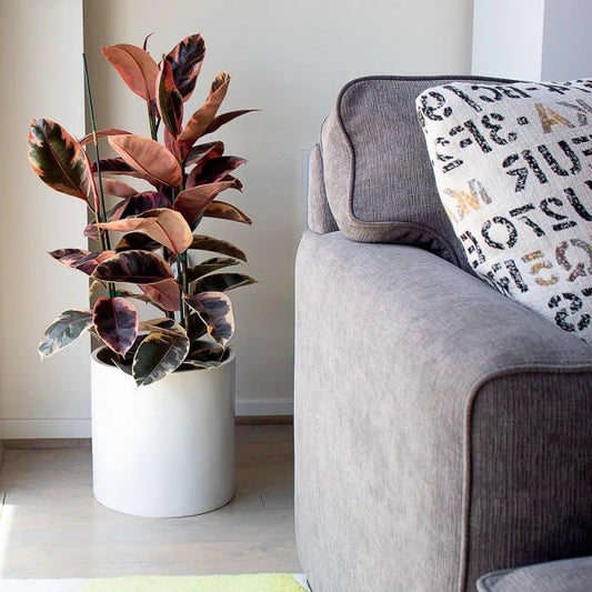 Round Fibre Glass-Grp High Quality Pots