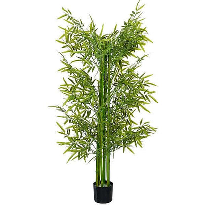 Bambus Green, Tropical Bamboo