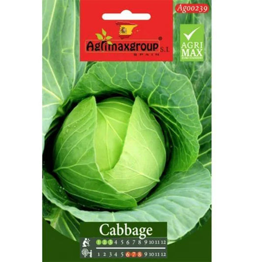 Cabbage Seeds