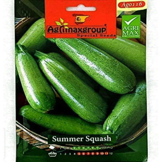 Summer Squash Seeds