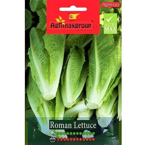 Roman Lettuce Seeds