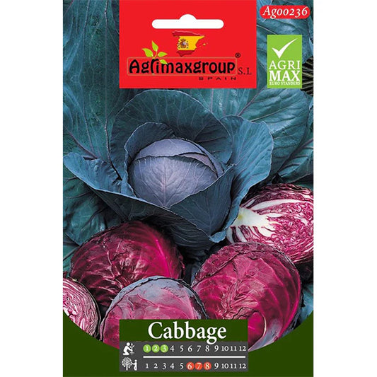 Red Cabbage Seeds
