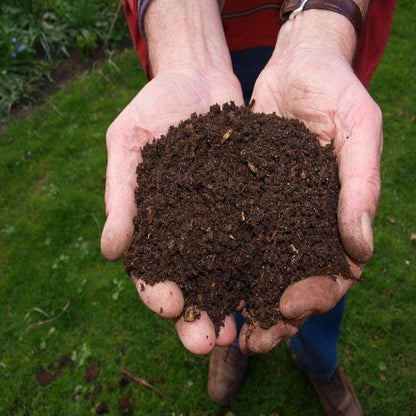 Vermicompost for Organic Farming