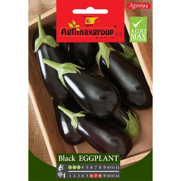 Black Eggplant Seeds