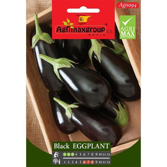 Black Eggplant Seeds