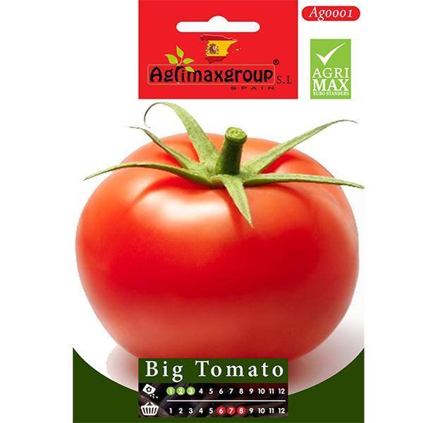 Big Tomato Seeds