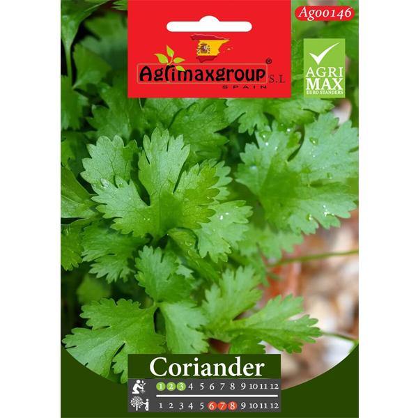 Coriander Seeds