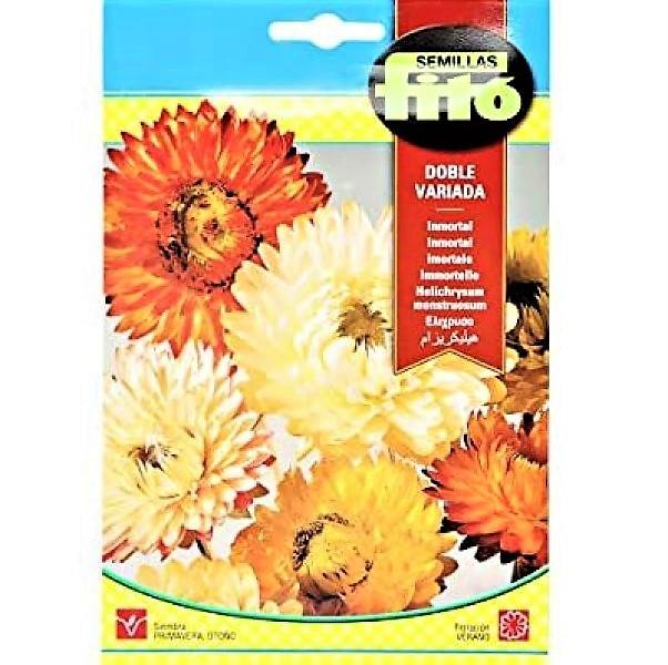 Helichrysum Monstruosum Double Mixed Seeds