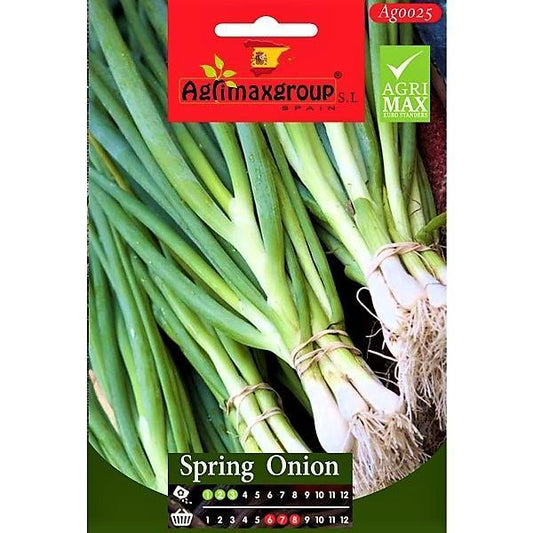 Spring Onion Seeds
