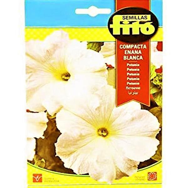 Dwarf Compact White Seeds