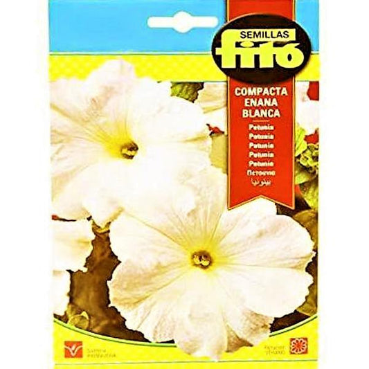 Dwarf Compact White Seeds