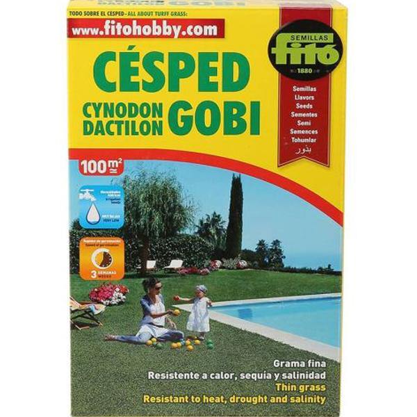 Cynodon Dactylon, Bermuda Grass Seeds