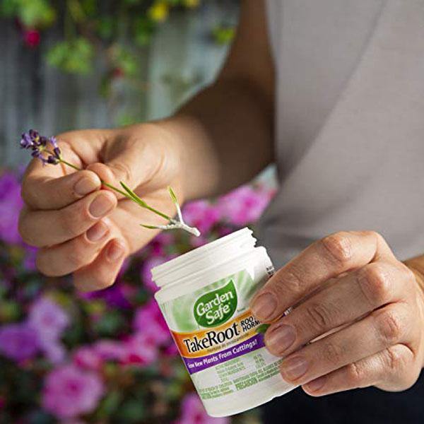 Garden Safe TakeRoot Rooting Hormone