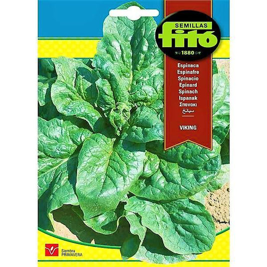 Spinach Viking Seeds