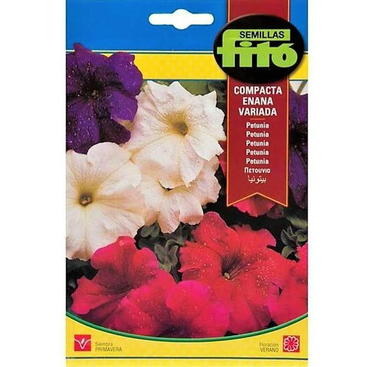 Dwarf Petunia Compact Mix Flower Seeds