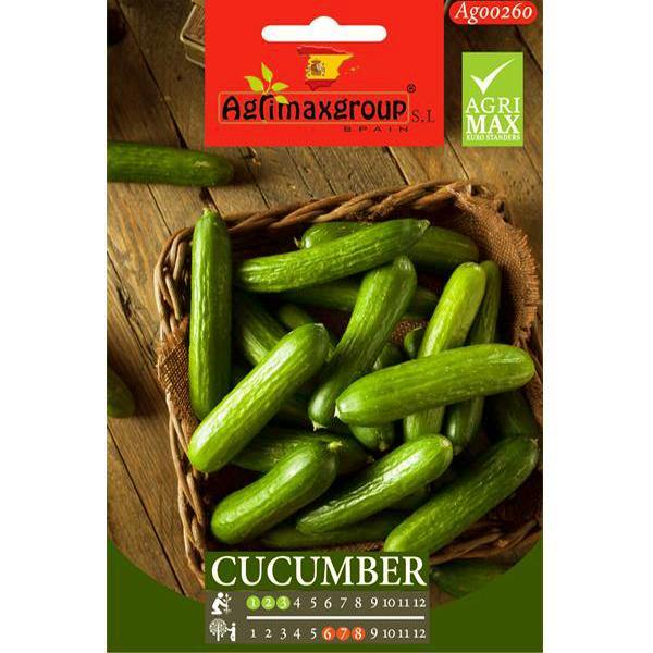 Small Cucumber Seeds