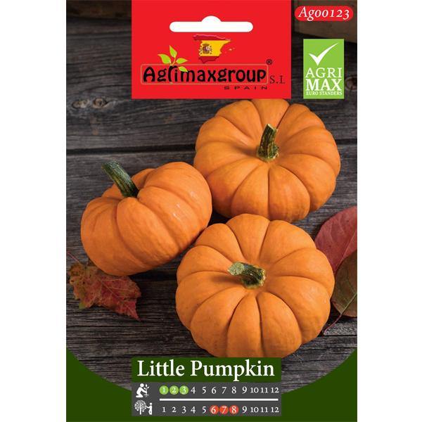 Little Pumpkin Seeds