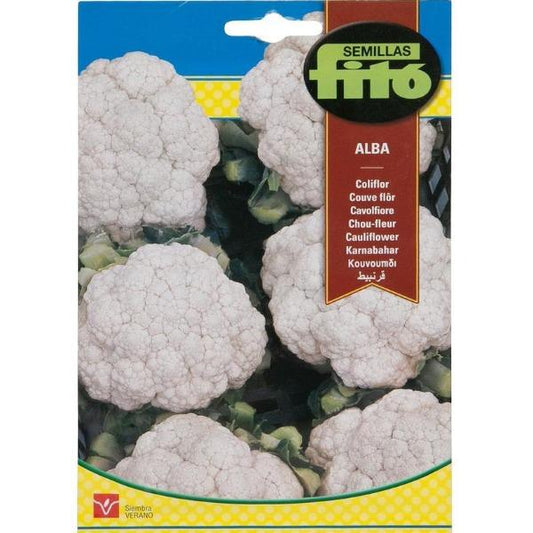 Coliflor Alba Cauliflower Seeds