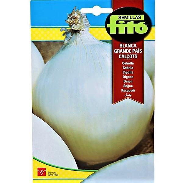 Onion Blanca Grande Pais Calcots Seeds