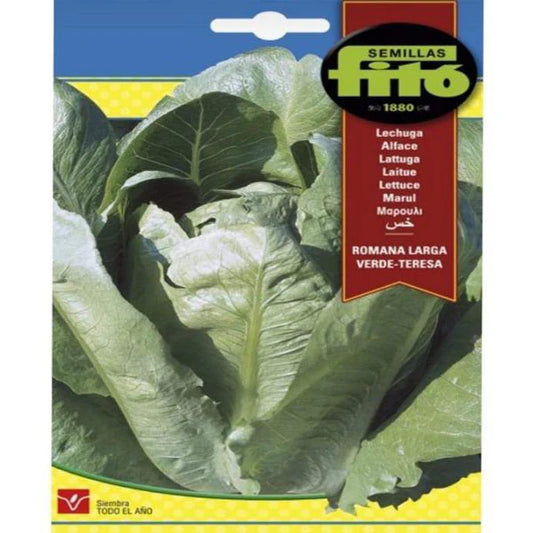 Romana Larga Verde Seeds