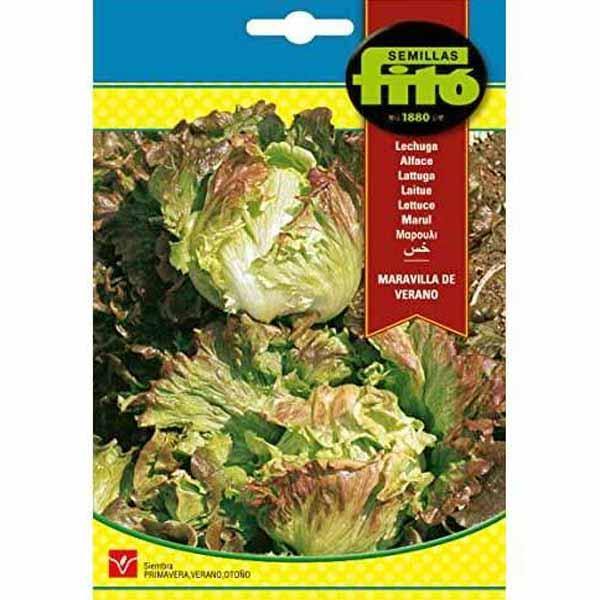 Lettuce Summer Marvel Seeds