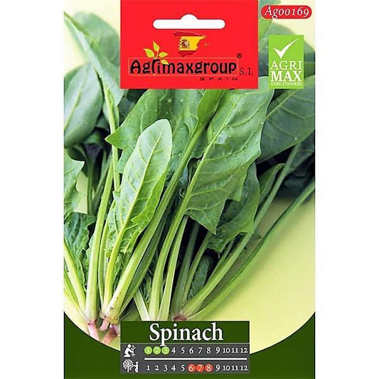 Spinach Seeds