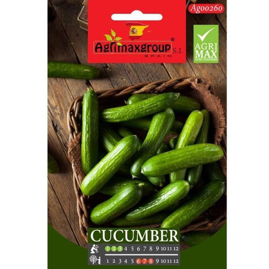 Cucumber Seeds