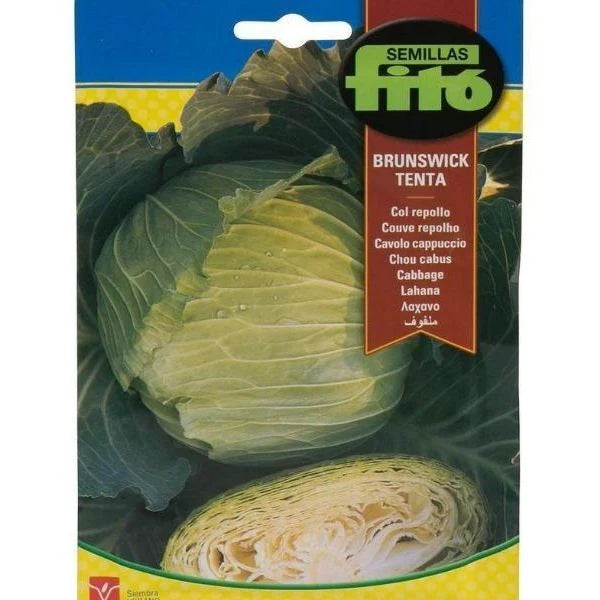 Col Repollo Brunswick Tenta Seeds