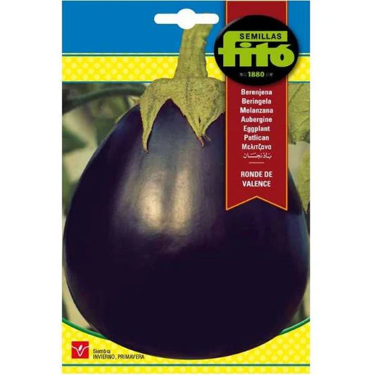 Eggplant Redonda Negra Lisa Seeds