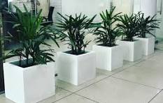 Square GRP Pot Planter