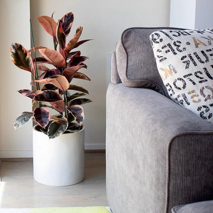 Round Fibre Glass-Grp High Quality Pots