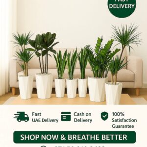 7 Best Air Purifying Plants Bundle Deal in ceramic pots